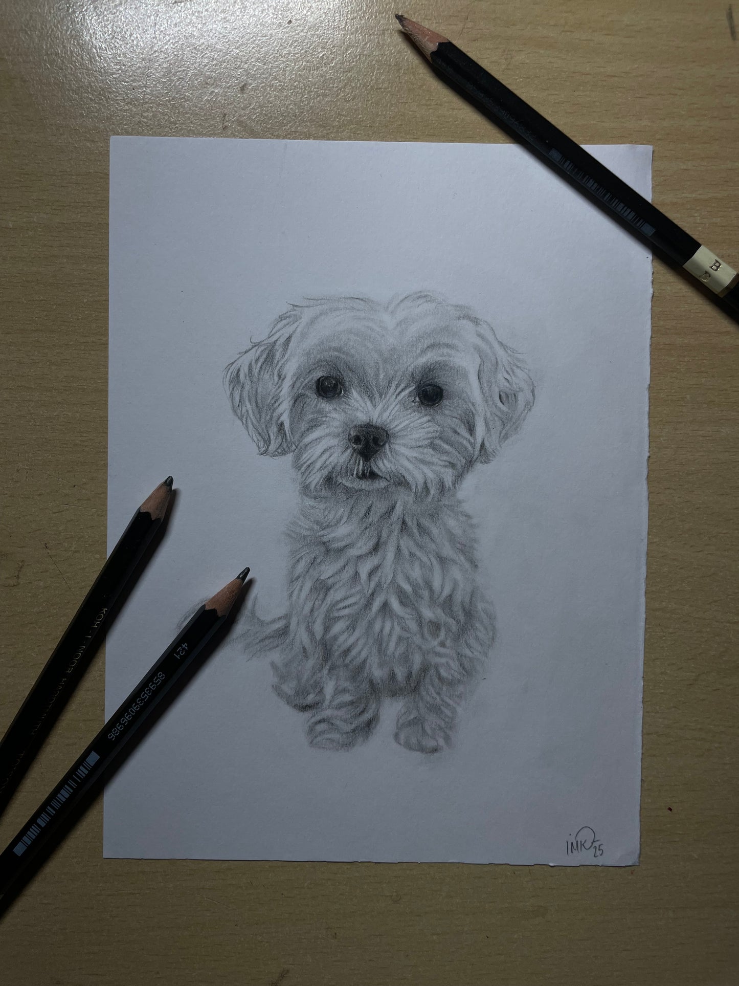 Portret osebe/ljubljenčka