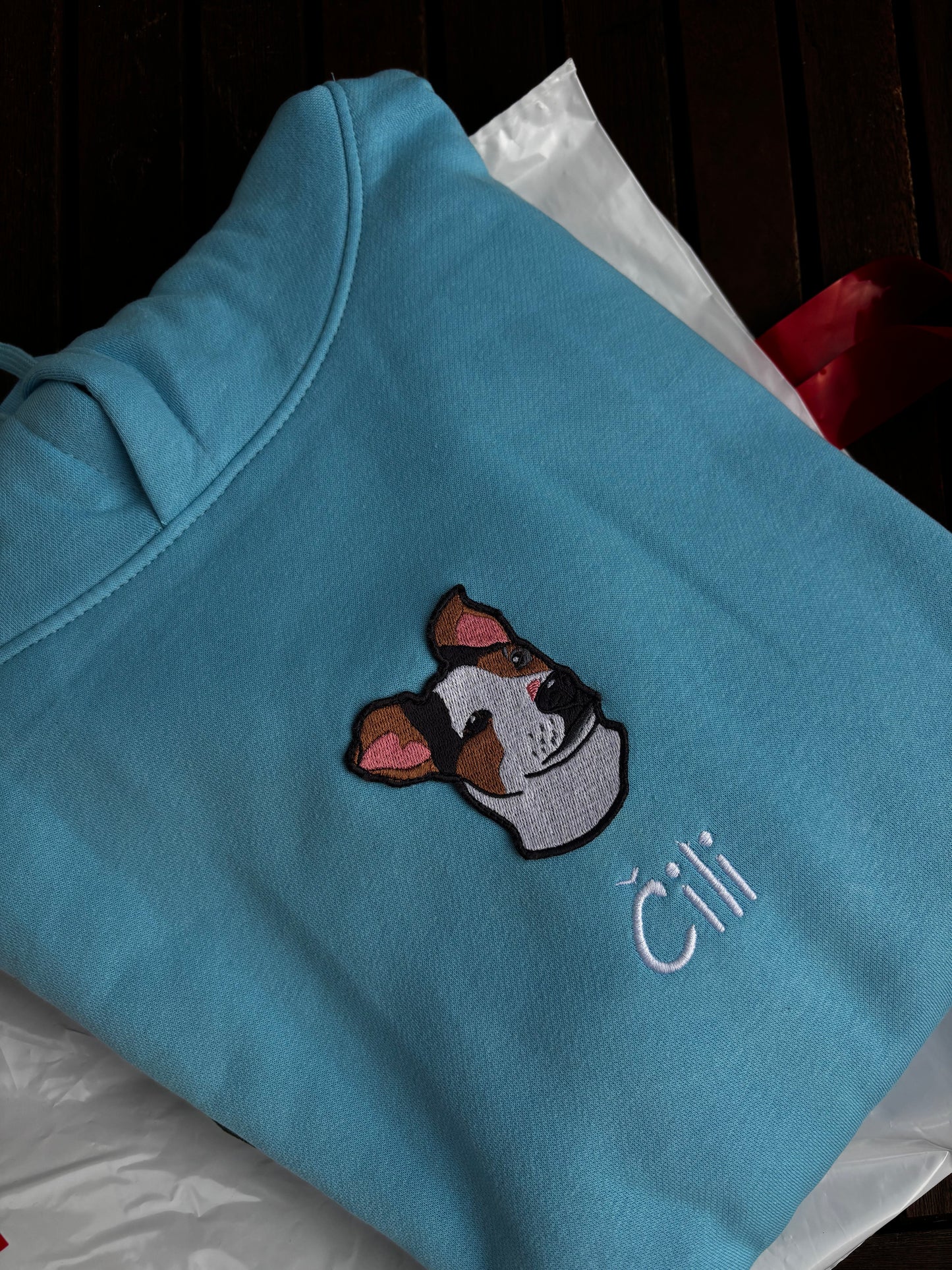 Hoodie z ljubljenčkom