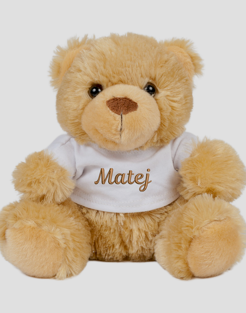 plišasti medvedek igrača z imenom